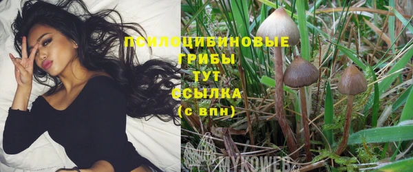 кристаллы Верхний Тагил