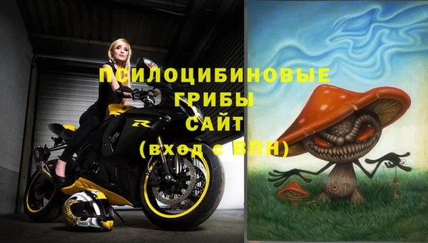 шишки Верхнеуральск